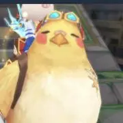 はじめの画像