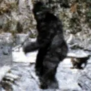 Bigfootの画像