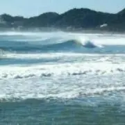 chi-surf  自己紹介必読