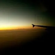 アジの画像