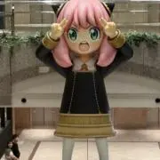 断捨離きのこちゃんの画像