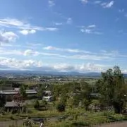 TORAOの画像