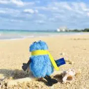 らい(断捨離中)の画像