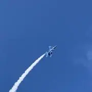 マキマキの画像