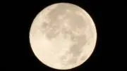 ゆき