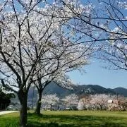 まみ