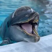 minsanの画像
