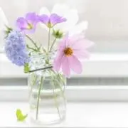 ゆみりん