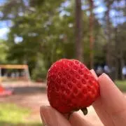 瑠奈の画像