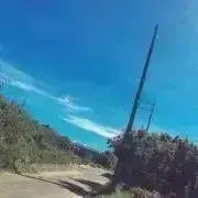 たかはしの画像