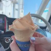 ドリーム