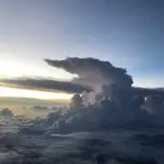 リンリンの画像