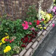 popo_lattaの画像