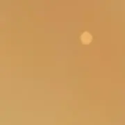シュヴァルツ