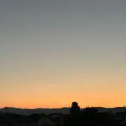 mmの画像