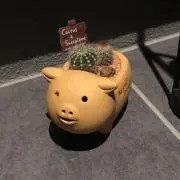 fujiyu＊即購入okの画像