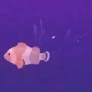 悠貴の画像