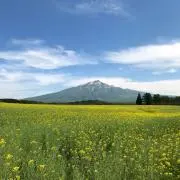 発送再開♡プロフ必読♡の画像