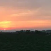 shoの画像