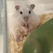 沖