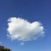 モリゾウ