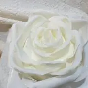 Mumuの画像