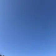 やまだの画像