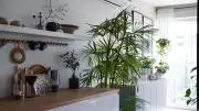 Greenの画像