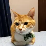 きなもち