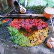 Ryuの画像