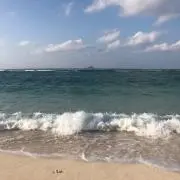 アダちゃんの画像