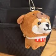 AYAの画像