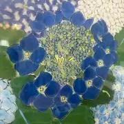 Ｈydrangeaの画像