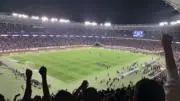 シロの画像