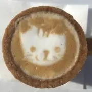 とらぴの画像