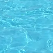 もちの画像