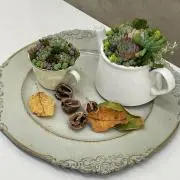 小径リュウの画像