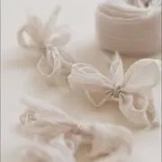 nocciの画像