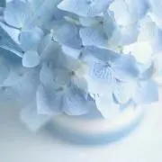 happy-003の画像