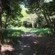 なすびの画像
