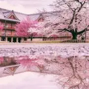 ミチビクターの画像