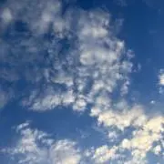 みかんの画像