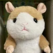 たぬたぬの画像