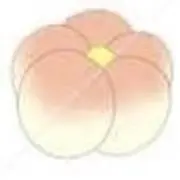もちこの画像
