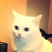 えみち