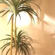 向日葵