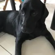 OLIVE♡の画像