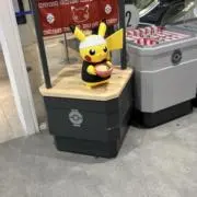 びかちゅう