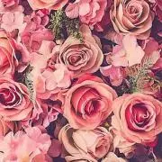 愛✩.*˚