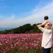 ぽむぽむ☆の画像